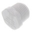 3/4" PVC Male Threaded Plug Schedule 40