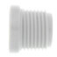 A white 1/2" PVC male threaded plug, typically used for plumbing purposes.
